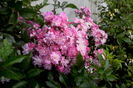 IMG_20160607_214719