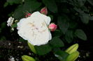 IMG_20160607_214007