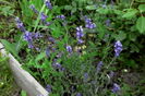 IMG_20160607_213907