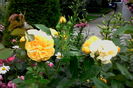 IMG_20160607_213325