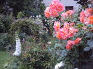 DSC03653