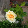 diamond jubilee