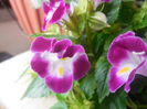 DSCN0761