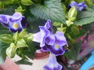 DSCN0762