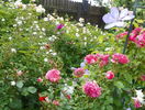 RU, Guirlande d'Amour, Ghislaine