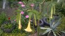 WP_20160604_10_08_22_Pro