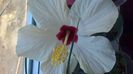 WP_20160607_15_00_56_Pro