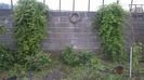 WP_20160602_10_21_33_Pro
