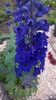 WP_20160608_09_41_04_Pro