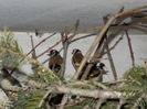 DSCN0195