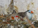 DSCN0255