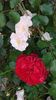 20160604_174610 - Copy