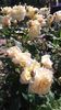 20160604_174808 - Copy