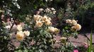20160604_174950 - Copy