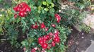 20160604_175126 - Copy