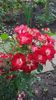 20160604_180652 - Copy
