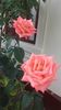 20160604_180914 - Copy - Copy