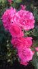 20160604_175805 - Copy
