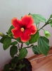 IMG_20160609_092322