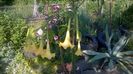 WP_20160609_08_19_19_Pro