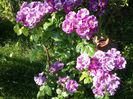 20160601_084234