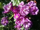 20160601_084244