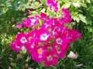 20160601_084309