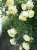 20160601_084539
