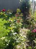 20160601_084555