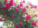 20160601_084645