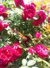 20160603_123713