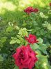 20160603_123755