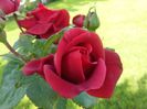 20160603_123806