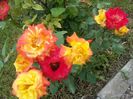 20160603_124210