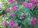 20160609_121524