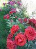 20160609_121630