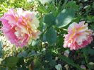 20160609_121650