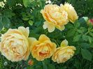 20160609_121734