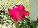 20160609_121910