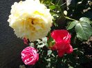 20160609_122148