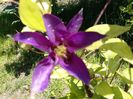 20160609_122250