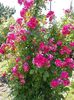 20160609_122337