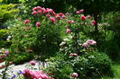 Rosarium copacei