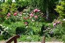 Rosarium copacei