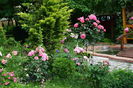 Leonardo si Rosarium