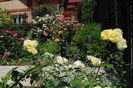 golden border(comtesse du barry)