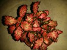 20160609_221224