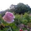 IMG_20160609_205817