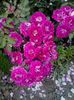 20160608_174620