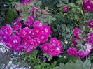 20160608_174626